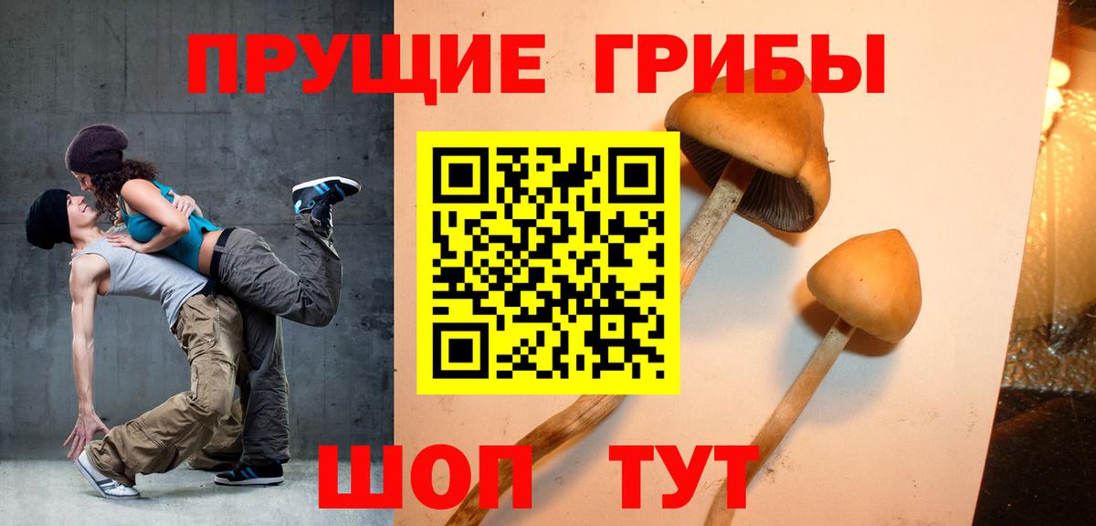 Псилоцибиновые грибы мухоморы  где купить наркоту  Вход с VPN  Ревда  Псилоцибиновые грибы Psilocybine cubensis 
